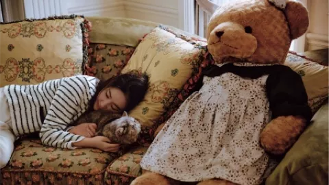 网红唐飞机坠机