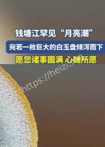 钱塘江月亮潮2025